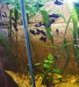 Öntöde Borozó-Söröző