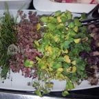 Onyx Étterem - Spirit Hotel Étterme Sárvár - Étel/ital