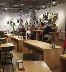 Padthai Wokbar - Mammut