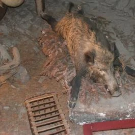 Panoptikum, Visegrád - 