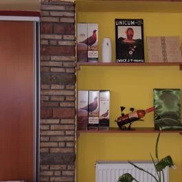 Patkó Vendéglő & Pizzéria Zirc - Belső