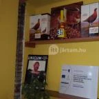 Patkó Vendéglő & Pizzéria Zirc - Belső