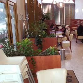 Pepe Cukrászda Zirc - Belső