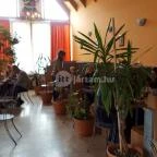 Pepe Cukrászda Zirc - Belső