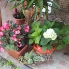 Pizza Garden Csopak - Külső kép