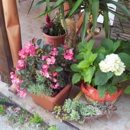 Pizza Garden, Csopak - Külső kép