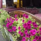 Pizza Garden Csopak - Külső kép