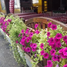 Pizza Garden, Csopak - Külső kép