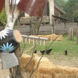 Puchner Kastélyszálló Bikal - Környék