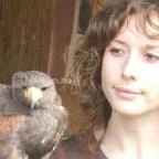 Puchner Kastélyszálló Bikal - Környék