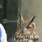 Puchner Kastélyszálló Bikal - Környék