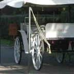 Puchner Kastélyszálló Bikal - Környék