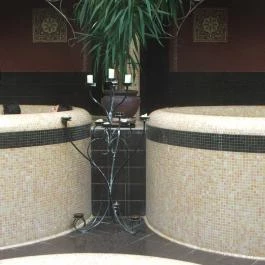 Puchner Kastélyszálló Bikal - Wellness