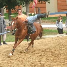 Puchner Kastélyszálló Bikal - Környék