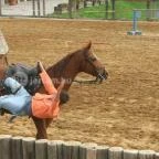 Puchner Kastélyszálló Bikal - Környék