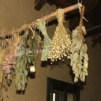 Puchner Kastélyszálló Bikal - Környék