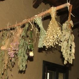 Puchner Kastélyszálló Bikal - Környék