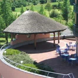 Lotus Therme Hotel & Spa Hévíz - Medence/kert