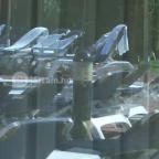 Lotus Therme Hotel & Spa Hévíz - Medence/kert