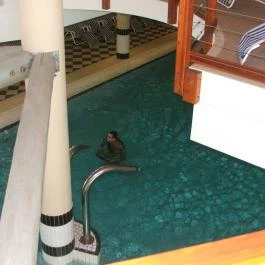 Lotus Therme Hotel & Spa Hévíz - Wellness