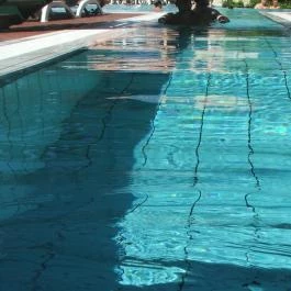 Lotus Therme Hotel & Spa Hévíz - Medence/kert