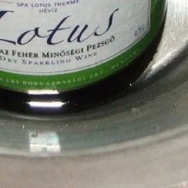 Lotus Therme Hotel & Spa Hévíz - Vendéglátás