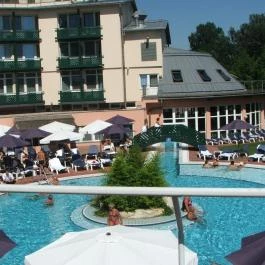 Lotus Therme Hotel & Spa Hévíz - Medence/kert