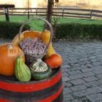 Római Pince Hévíz - Étel/ital