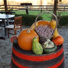 Római Pince Hévíz - Étel/ital