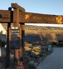 Római Pince