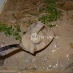 San Toro Étterem - Bambara Hotel Felsőtárkány - Étel/ital