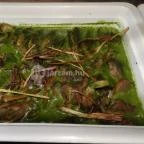 San Toro Étterem - Bambara Hotel Felsőtárkány - Étel/ital