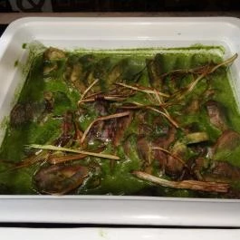 San Toro Étterem - Bambara Hotel Felsőtárkány - Étel/ital