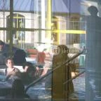 Sárvári Gyógy- és Wellnessfürdő Sárvár - 