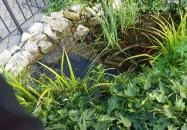 Schőnig Cukrászda Veszprém Schőnig Cukrászda Veszprém