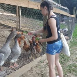 Sobri Jóska Bakonyi Kalandpark, Kislőd - 