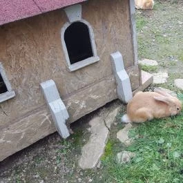 Sobri Jóska Bakonyi Kalandpark, Kislőd - 