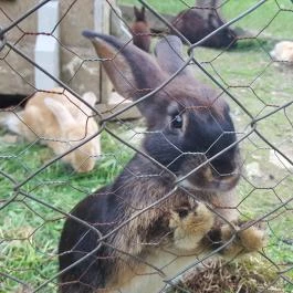 Sobri Jóska Bakonyi Kalandpark, Kislőd - 