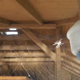 Sobri Jóska Bakonyi Kalandpark, Kislőd - 