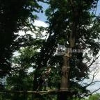 Sobri Jóska Bakonyi Kalandpark Kislőd - 