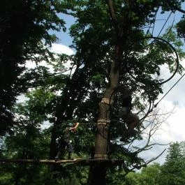 Sobri Jóska Bakonyi Kalandpark, Kislőd - 