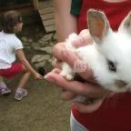 Sobri Jóska Bakonyi Kalandpark Kislőd - 