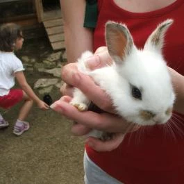 Sobri Jóska Bakonyi Kalandpark, Kislőd - 