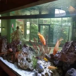 Spirit Hotel Thermal Spa, Sárvár - Belső