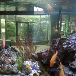 Spirit Hotel Thermal Spa, Sárvár - Belső