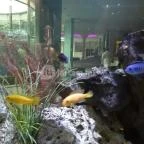 Spirit Hotel Thermal Spa Sárvár - Belső