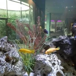 Spirit Hotel Thermal Spa, Sárvár - Belső