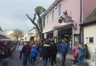 Szamos Múzeum Cukrászdája Szentendre