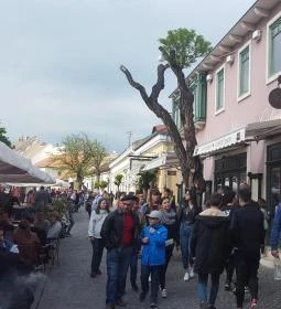 Szamos Múzeum Cukrászdája