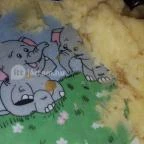 Szárcsa Hotel étterme Székesfehérvár - Étel/ital